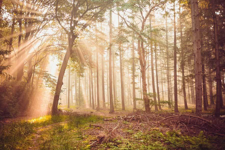 战术, 昂旋律响起, 汉江龙吟 战术, 昂旋律响起, 汉江龙吟
