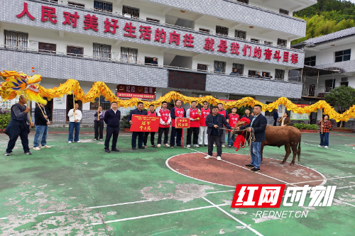 福利的想法 福利的想法